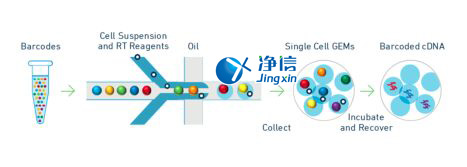 中國(guó)人自己的微流控單細(xì)胞測(cè)序儀來了！_微流控Drop-seq,微流控技術(shù)