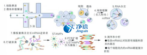 中國(guó)人自己的微流控單細(xì)胞測(cè)序儀來了！_微流控Drop-seq